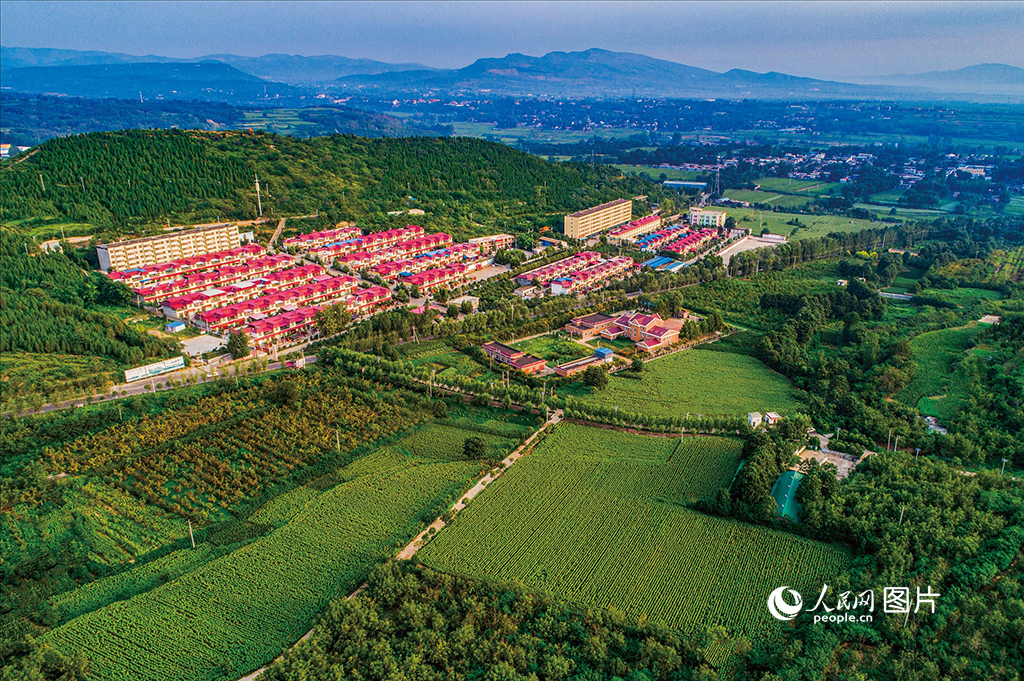 盛夏的河南省禹州市文殊镇陈南村,黄墙红丸,屋舍俨然,群山环绕,绿意浓浓。陈南村处在三河两岭中间,文化底蕴深厚,辖区内千亩核桃园区、油葵花海、铁山岭田园综合体已初具规模,2014年被评为“全国生态文化村”,2022年被评为“河南省乡村旅游特色村”。人民网记者 王玉兴摄 盛夏的河南省禹州市文殊镇陈南村,黄墙红丸,屋舍俨然,群山环绕,绿意浓浓。陈南村处在三河两岭中间,文化底蕴深厚,辖区内千亩核桃园区、油葵花海、铁山岭田园综合体已初具规模,2014年被评为“全国生态文化村”,2022年被评为“河南省乡村旅游特色村”。人民网记者 王玉兴摄